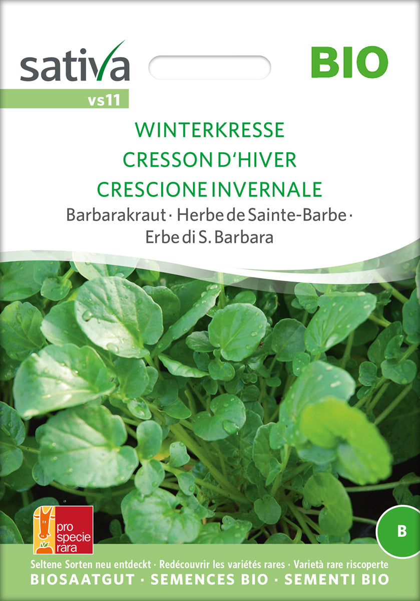 Barbarakraut Winterkresse | BIO Kressesamen von Sativa Rheinau