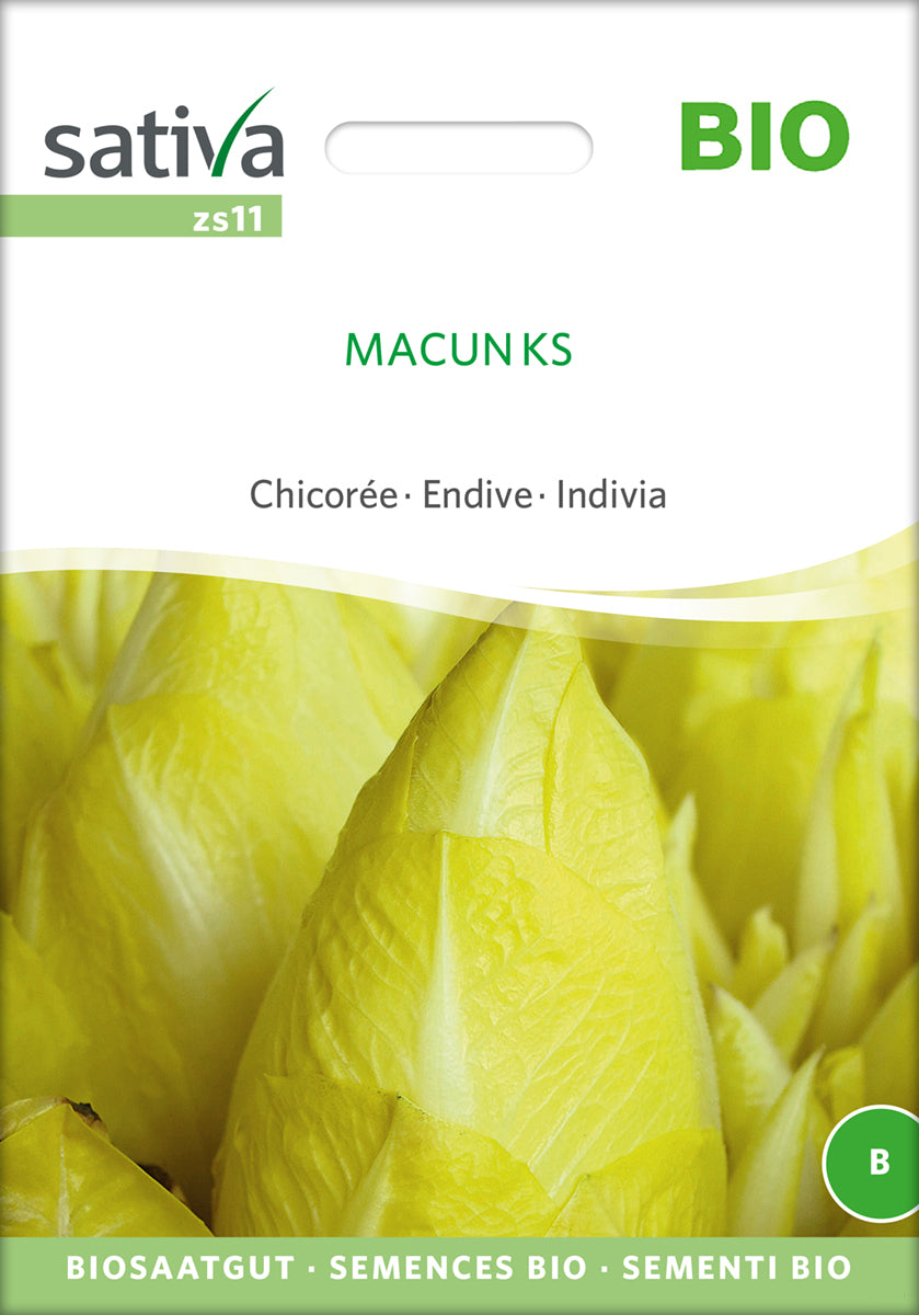 Chicorée Macun Ks | BIO Chicoréesamen von Sativa Rheinau