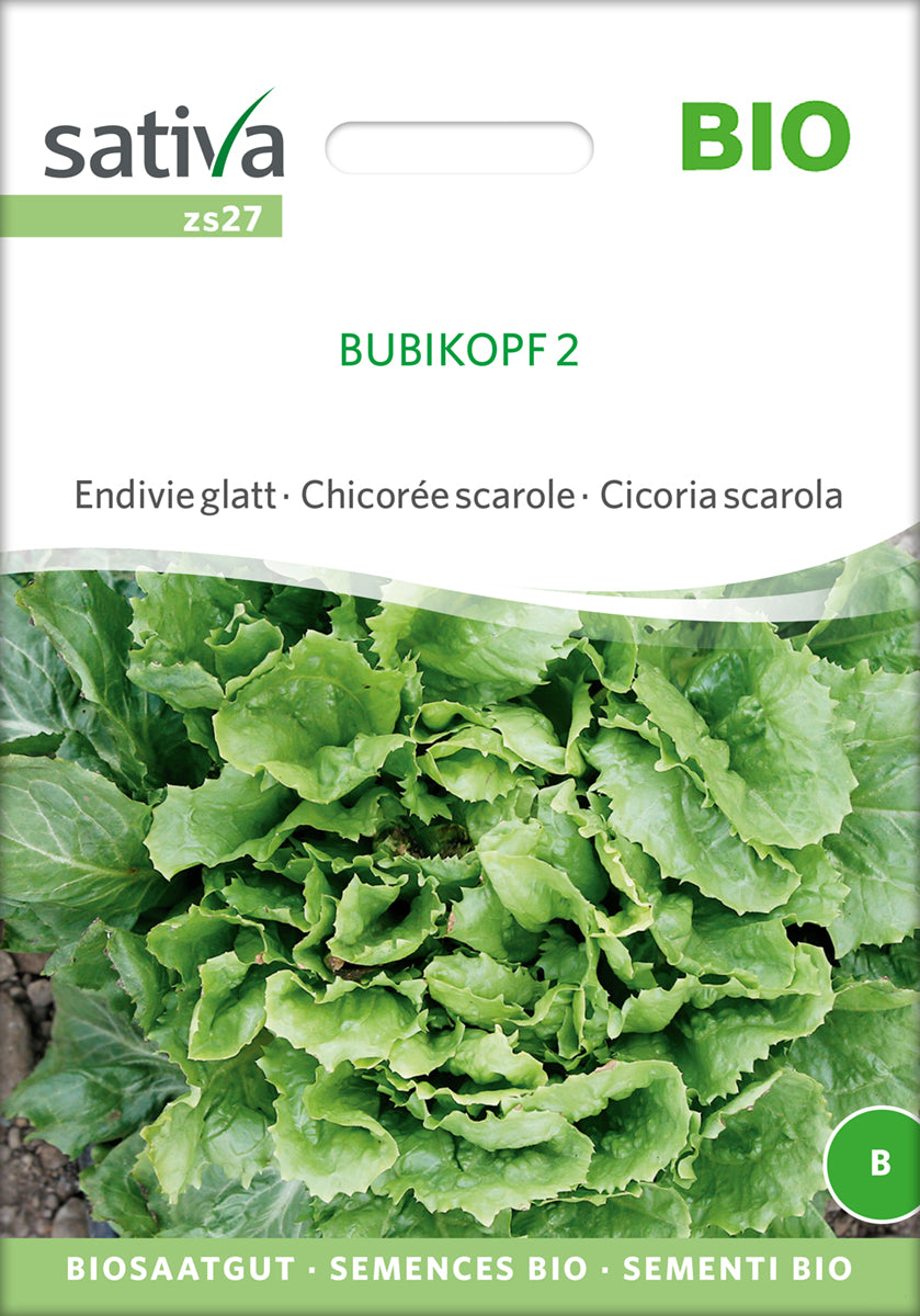 Endivie glatt Bubikopf 2 | BIO Endiviensalatsamen von Sativa Rheinau