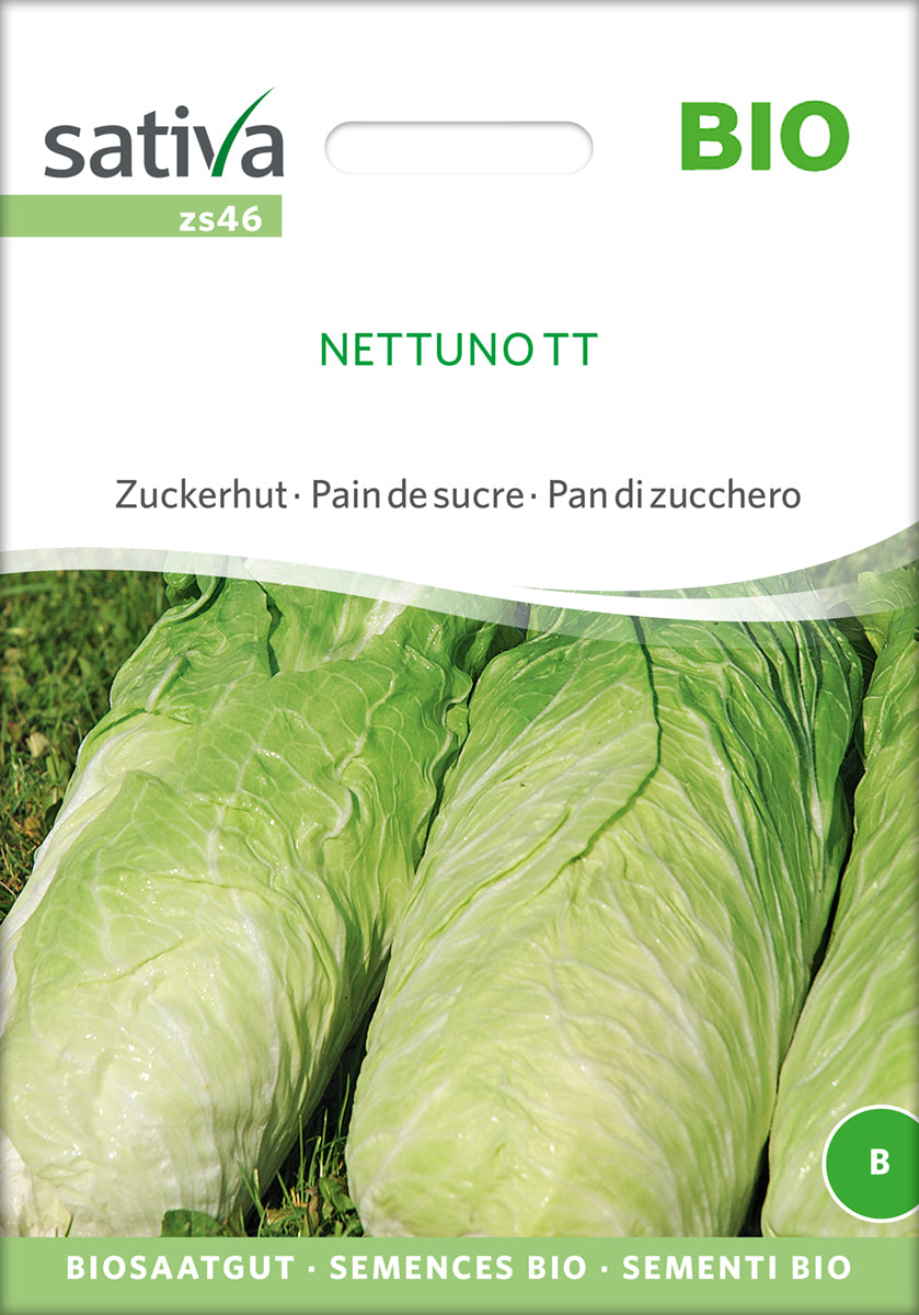 Zuckerhut Nettuno | BIO Zuckerhutsamen von Sativa Rheinau