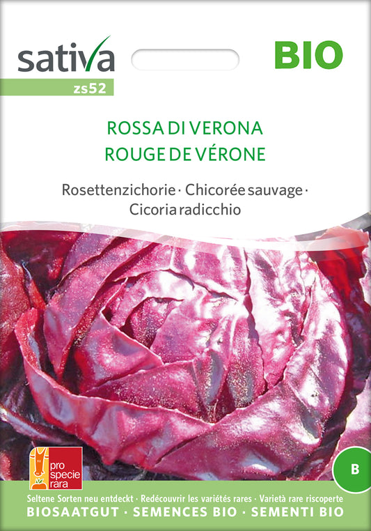 Rosettenzichorie Rossa Di Verona | BIO Chicoréesamen von Sativa Rheinau