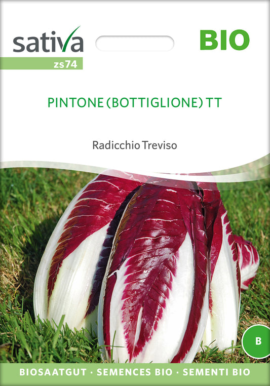 Treviso Pintone | BIO Salatsamen von Sativa Rheinau
