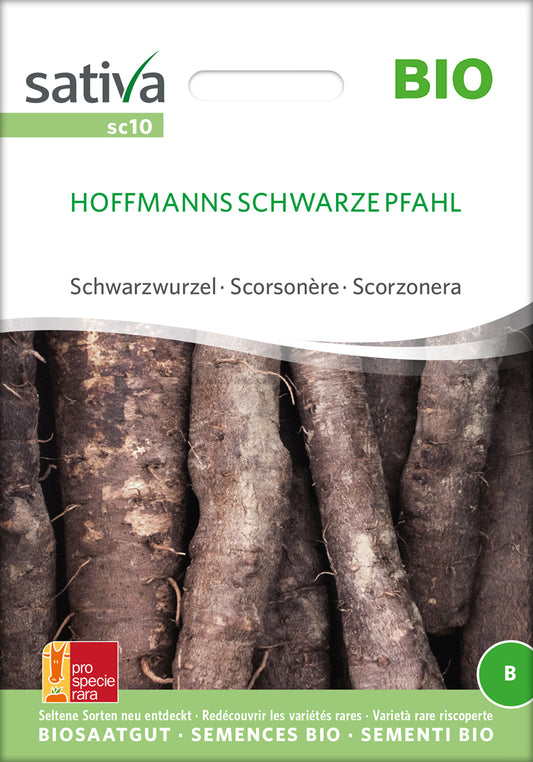 Schwarzwurzel Hoffmanns Schwarze Pfahl | BIO Schwarzwurzelsamen von Sativa Rheinau