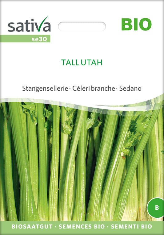 Stangensellerie Tall Utah | BIO Stangenselleriesamen von Sativa Rheinau