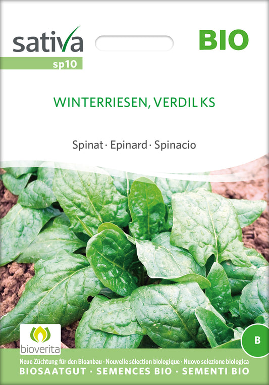 Spinat Winterriesen, Verdil Ks | BIO Spinatsamen von Sativa Rheinau