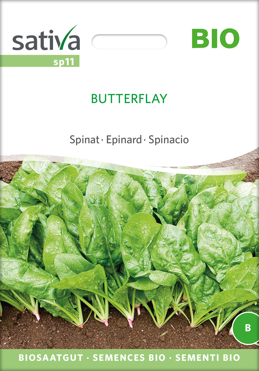 Spinat Butterflay | BIO Spinatsamen von Sativa Rheinau