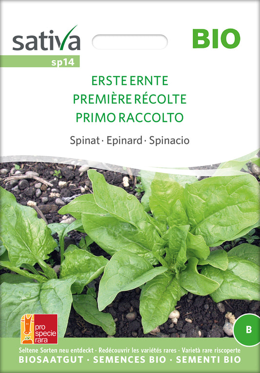 Spinat Erste Ernte | BIO Spinatsamen von Sativa Rheinau