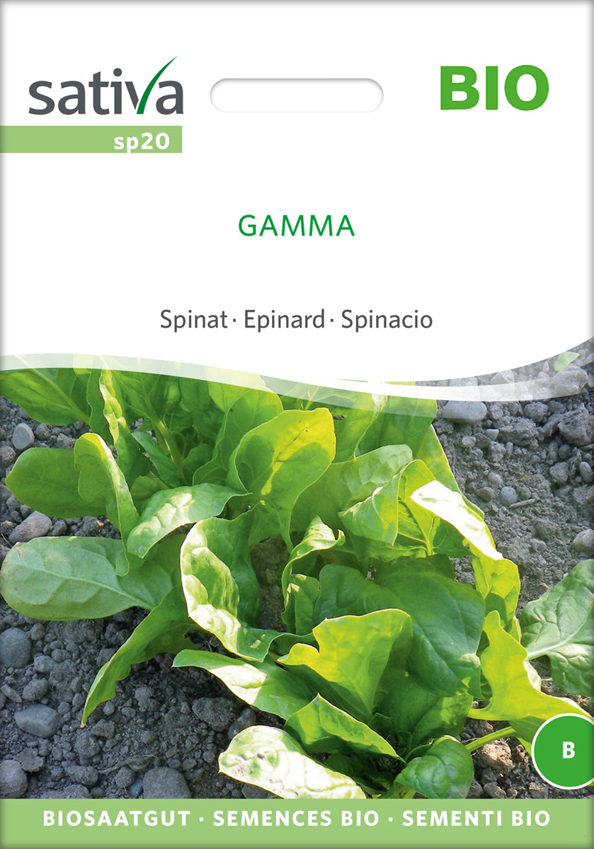 Spinat Gamma | BIO Spinatsamen von Sativa Rheinau
