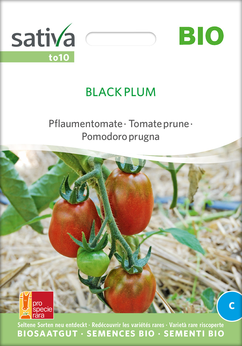 Pflaumentomate Black Plum | BIO Eiertomatensamen von Sativa Rheinau