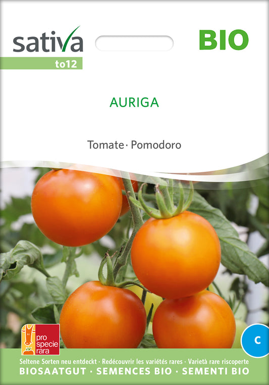 Tomate Auriga | BIO Freilandtomatensamen von Sativa Rheinau
