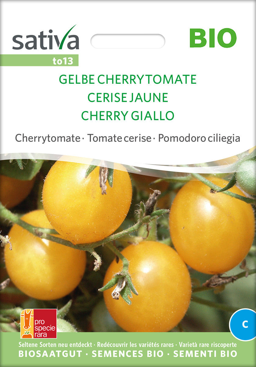 Cherrytomate Gelbe Cherrytomate | BIO Kirschtomatensamen von Sativa Rheinau