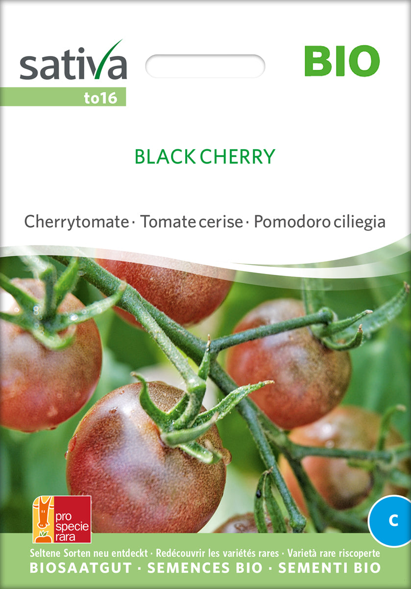 Cherrytomate Black Cherry | BIO Kirschtomatensamen von Sativa Rheinau