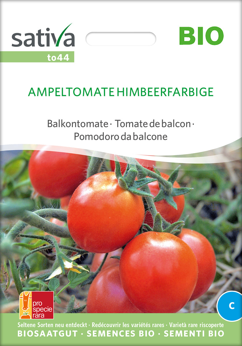 Balkontomate Ampeltomate Himbeerfarbige | BIO Buschtomatensamen von Sativa Rheinau