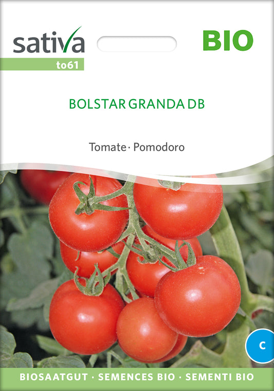 Tomate Bolstar Granda | BIO Tomatensamen von Sativa Rheinau
