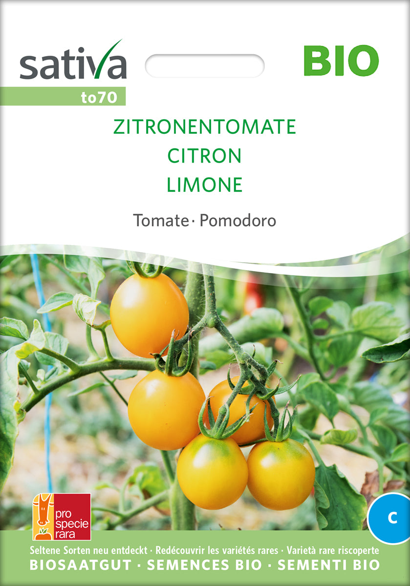 Tomate Zitronentomate | BIO Tomatensamen von Sativa Rheinau
