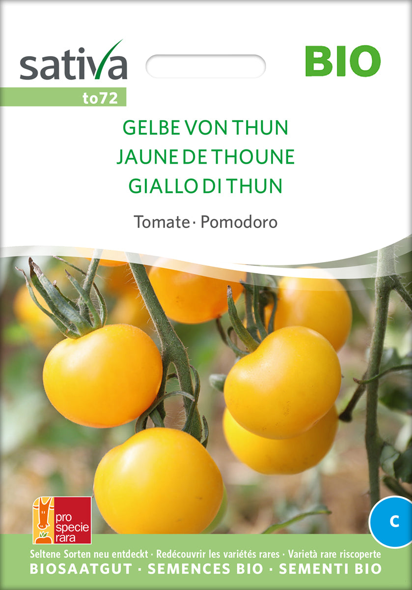 Tomate Gelbe Von Thun | BIO Tomatensamen von Sativa Rheinau