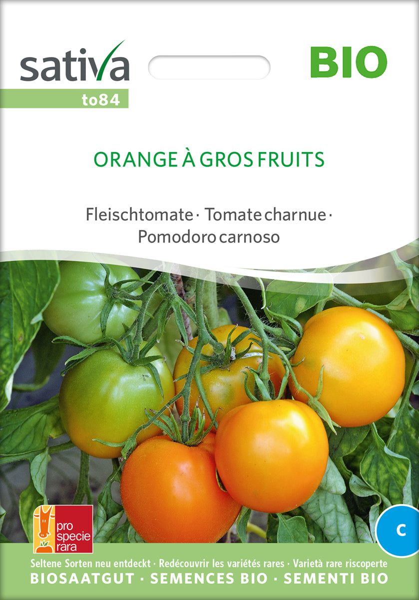 Fleischtomate Orange À Gros Fruits | BIO Fleischtomatensamen von Sativa Rheinau