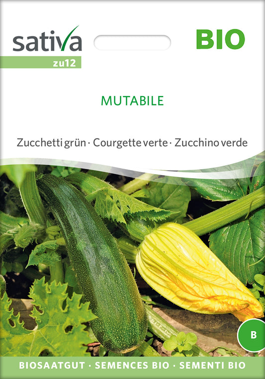 Zucchini Mutabile | BIO Zucchinisamen von Sativa Rheinau