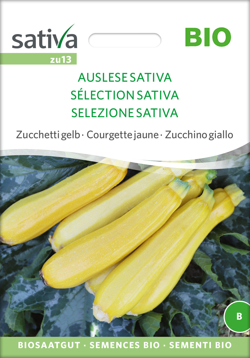 Zucchini Auslese Sativa | BIO Zucchinisamen von Sativa Rheinau