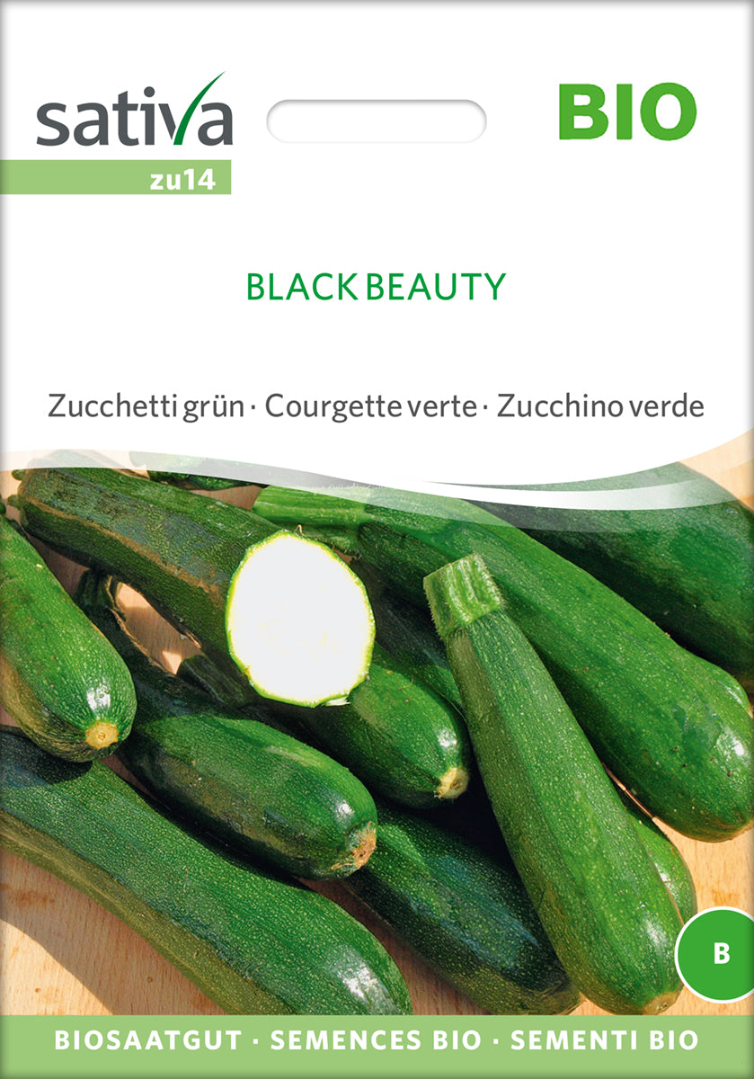 Zucchini Black Beauty | BIO Zucchinisamen von Sativa Rheinau