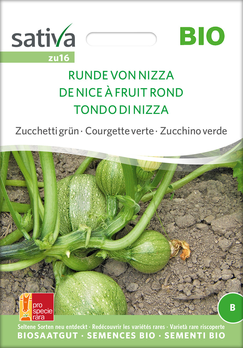 Zucchini Runde Von Nizza | BIO Zucchinisamen von Sativa Rheinau