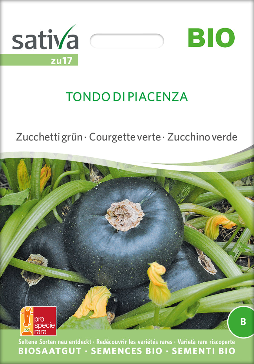 Zucchini Tondo Di Piacenza | BIO Zucchinisamen von Sativa Rheinau