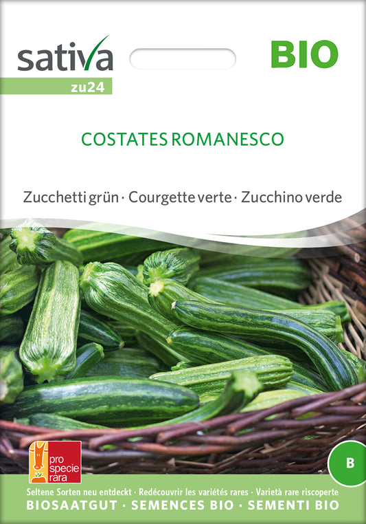 Zucchini Costates Romanesco | BIO Zucchinisamen von Sativa Rheinau