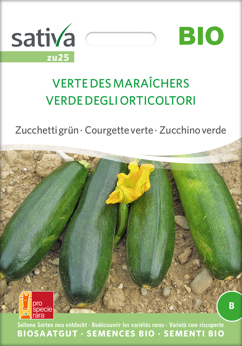 Zucchini Verte Des Maraîchers | BIO Zucchinisamen von Sativa Rheinau