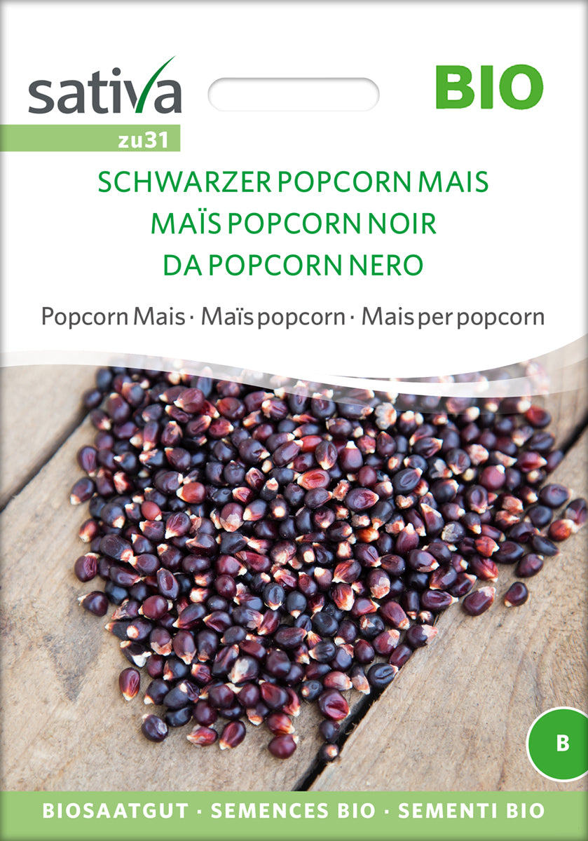 Popcorn Mais Schwarzer | BIO Maissamen von Sativa Rheinau