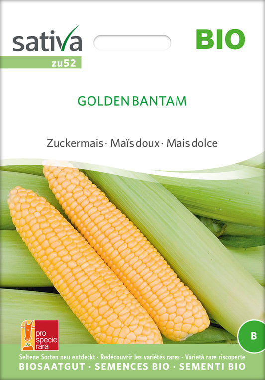 Zuckermais Golden Bantam | BIO Maissamen von Sativa Rheinau