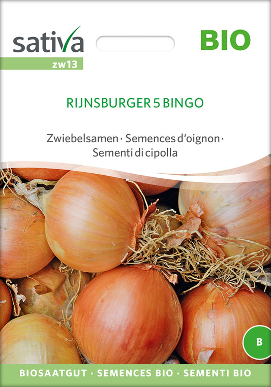 Zwiebelsamen Rijnsburger 5 Bingo | BIO Zwiebelsamen von Sativa Rheinau