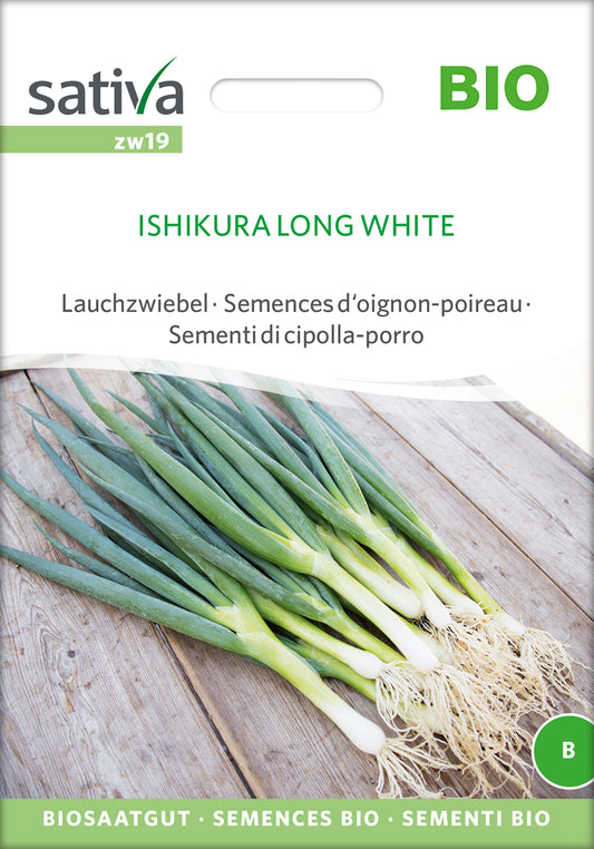 Lauchzwiebelsamen Ishikura Long White | BIO Lauchzwiebelsamen von Sativa Rheinau