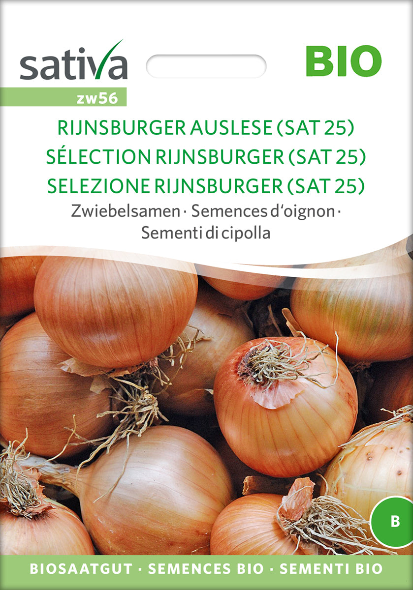 Zwiebelsamen Rijnsburger Auslese | BIO Zwiebelsamen von Sativa Rheinau