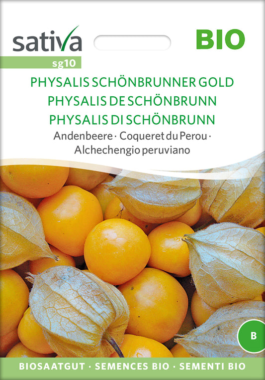 Andenbeere Physalis Schönbrunner Gold | BIO Andenbeerensamen von Sativa Rheinau