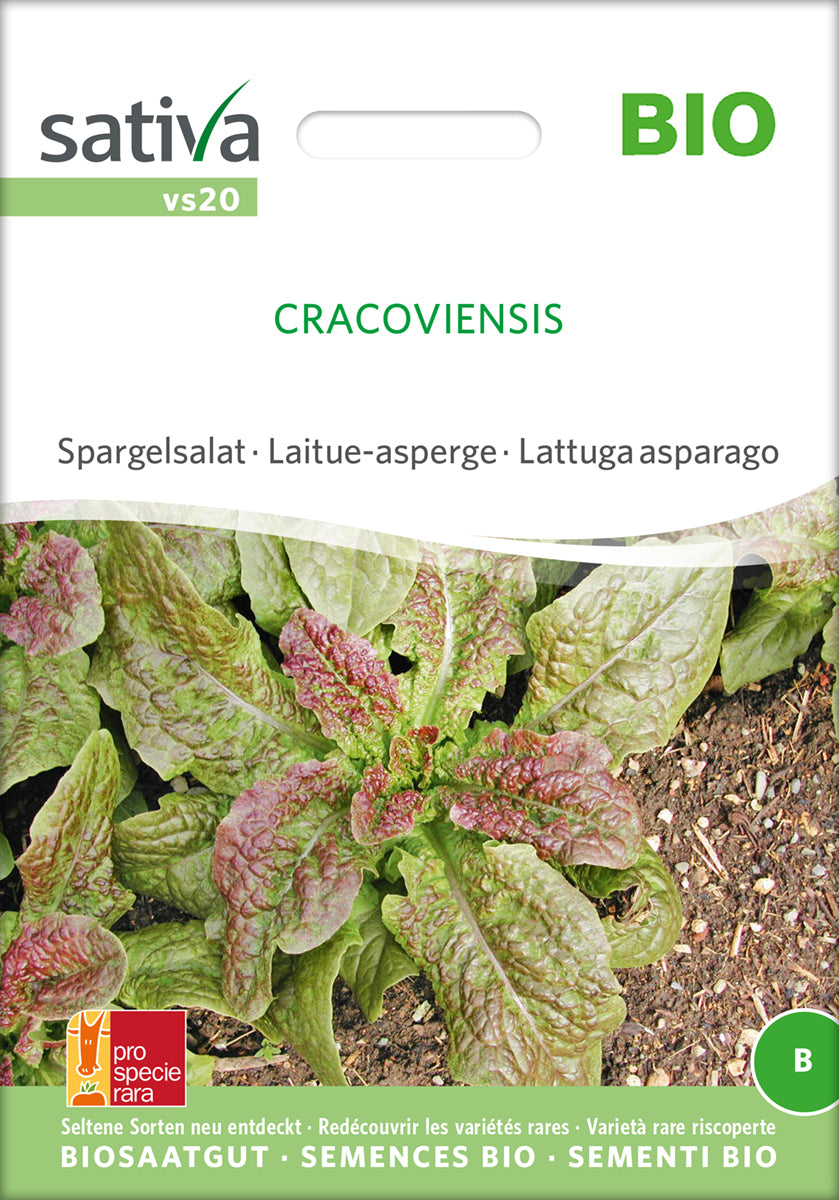 Spargelsalat Cracoviensis | BIO Spargelsalatsamen von Sativa Rheinau