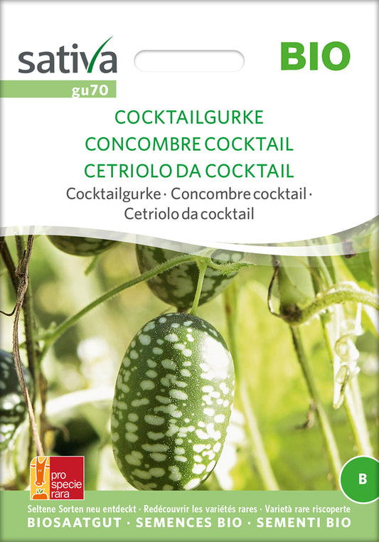 Cocktailgurke | BIO Minigurkensamen von Sativa Rheinau