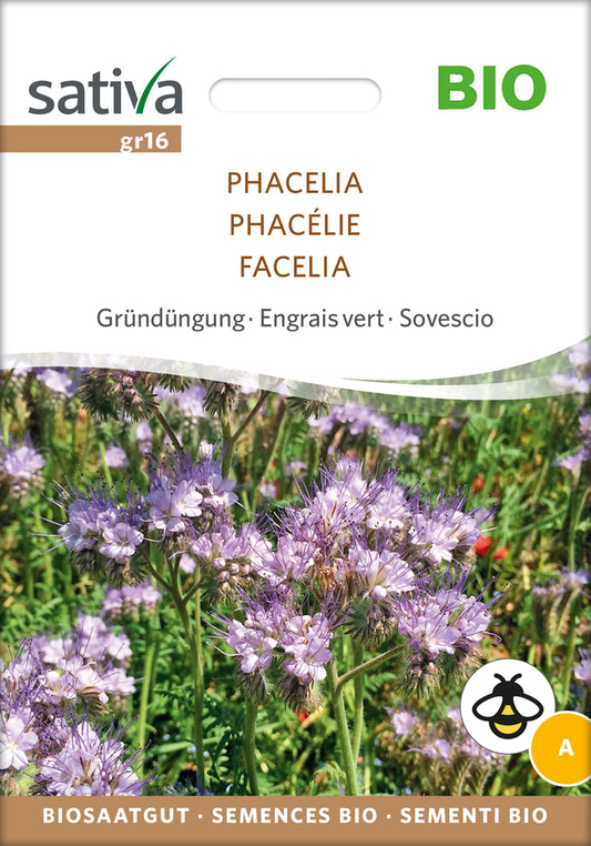 Gründüngung Phacelia | BIO Gründünger von Sativa Rheinau