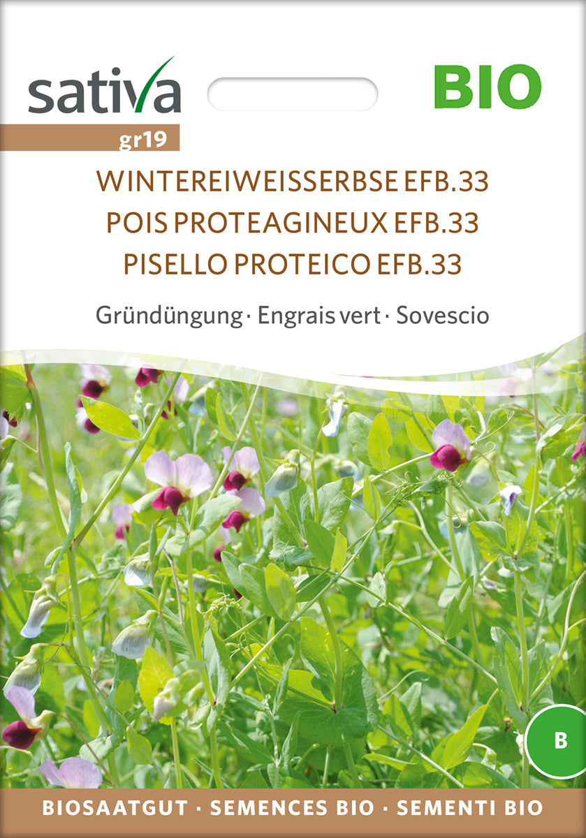 Gründüngung Wintereiweisserbse | BIO Gründünger von Sativa Rheinau