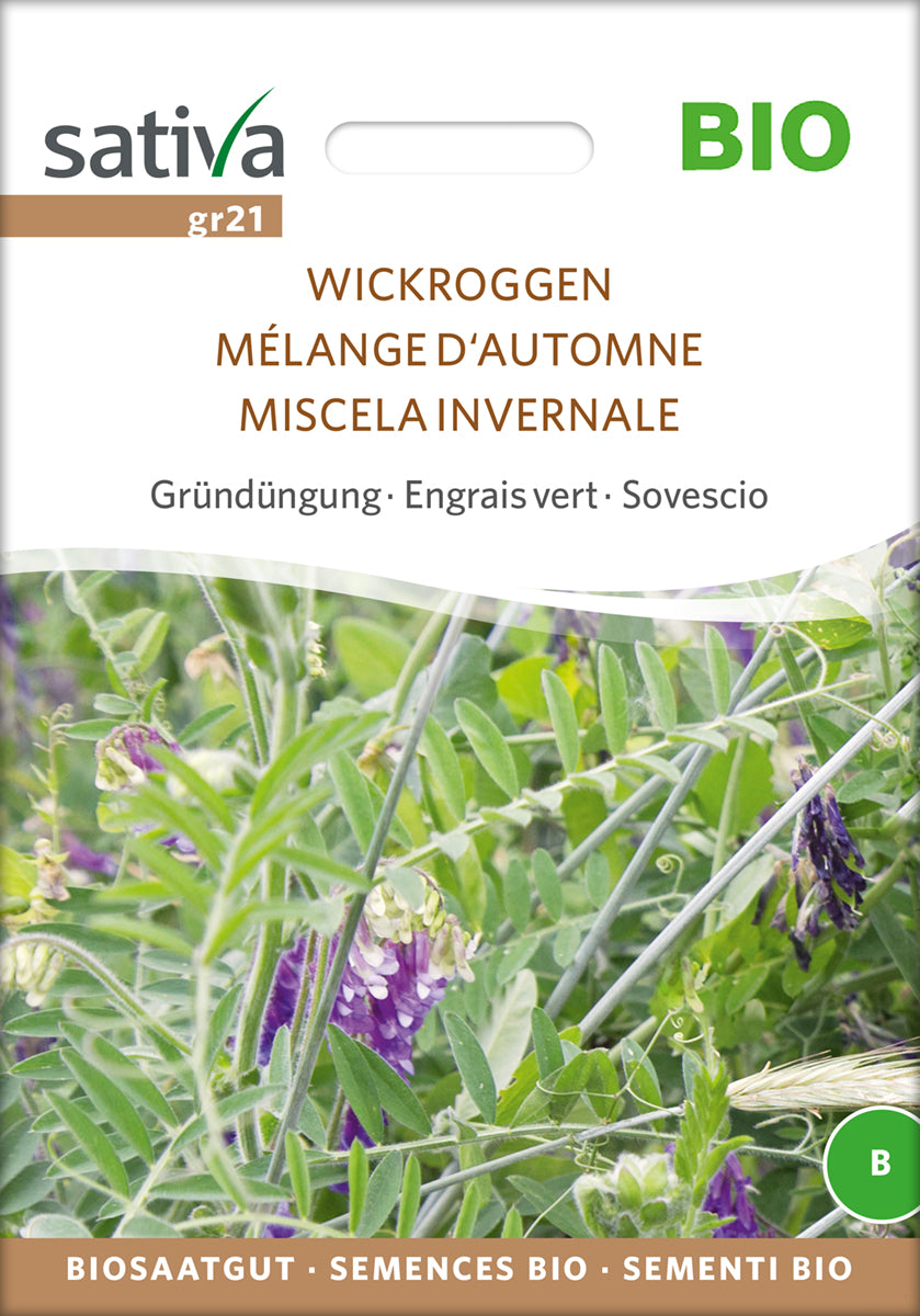 Gründüngung Wickroggen | BIO Gründünger von Sativa Rheinau