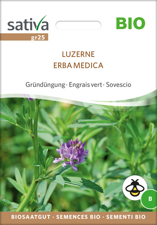 Gründüngung Luzerne | BIO Gründünger von Sativa Rheinau