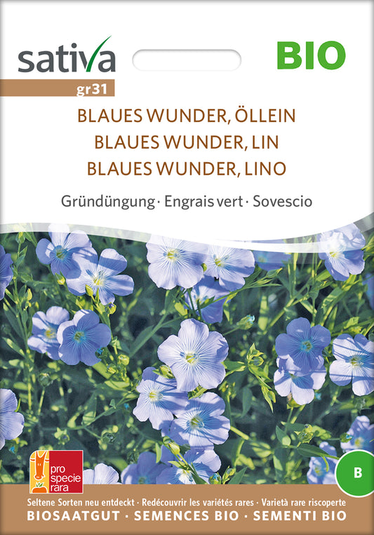 Gründüngung Blauer Lein, Öllein | BIO Gründünger von Sativa Rheinau