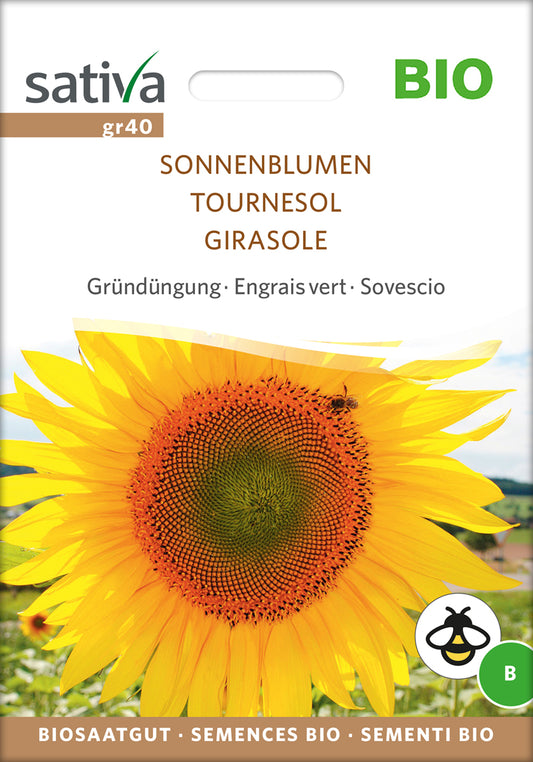 Gründüngung Sonnenblumen | BIO Gründünger von Sativa Rheinau