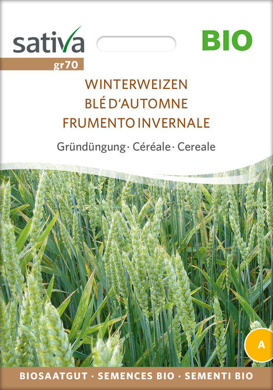 Getreide Winterweizen | BIO Weizensamen von Sativa Rheinau