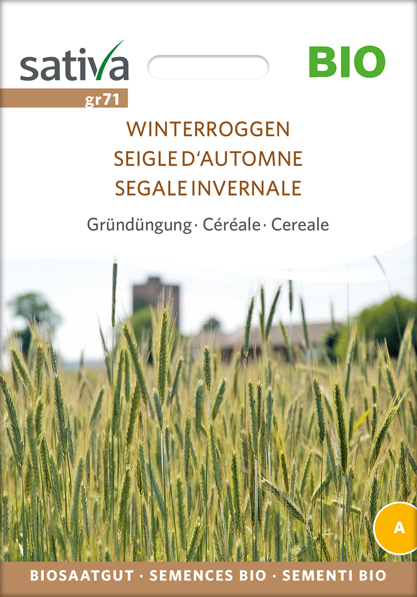 Getreide Winterroggen | BIO Roggensamen von Sativa Rheinau