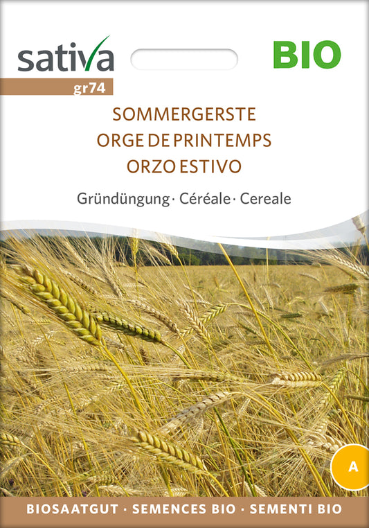 Getreide Sommergerste | BIO Gerstensamen von Sativa Rheinau
