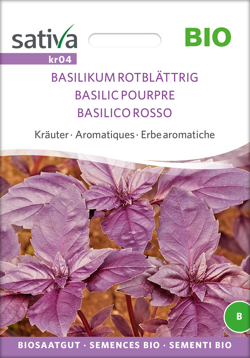 Basilikum Rotblättrig | BIO Basilikumsamen von Sativa Rheinau