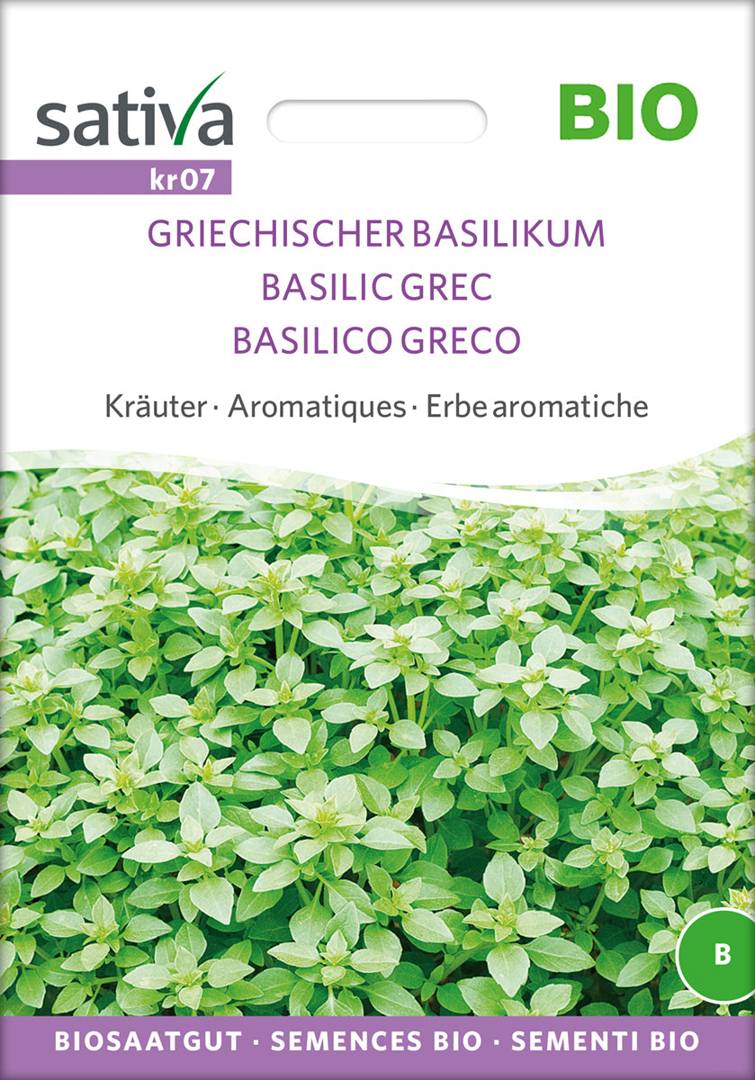 Griechischer Basilikum | BIO Basilikumsamen von Sativa Rheinau