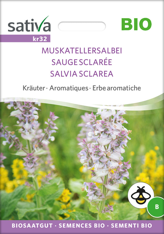 Muskatellersalbei | BIO Salbeisamen von Sativa Rheinau