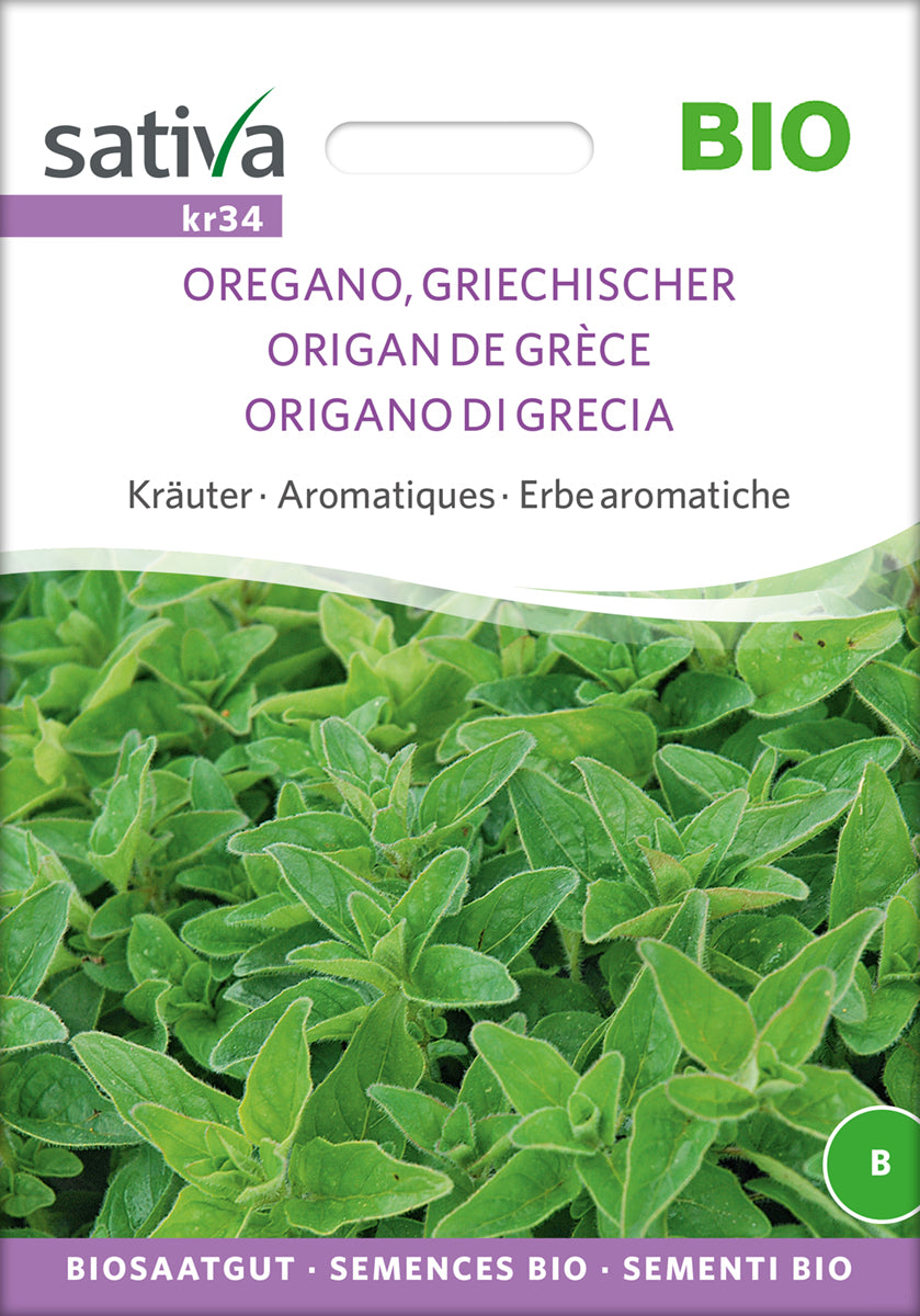Griechischer Oregano | BIO Oreganosamen von Sativa Rheinau