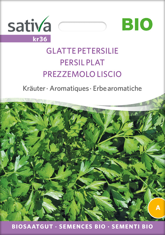 Glatte Petersilie | BIO Petersiliensamen von Sativa Rheinau